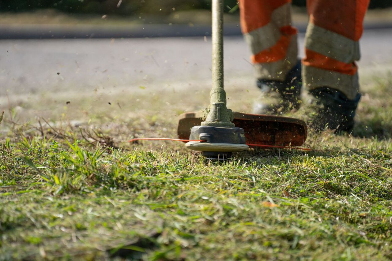 String trimmer cutting a clean edge along a lawn